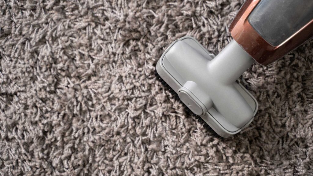 gray rug cleaning vacuum cleaner.