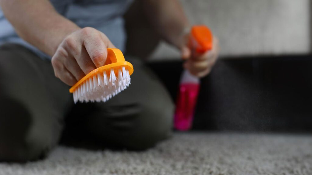 cleaning carpet with hard brush