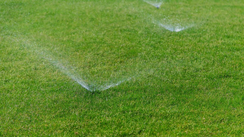 rinsing water on artificial turf