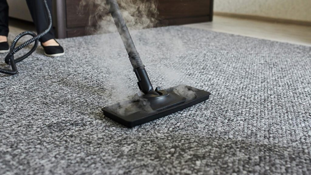 women cleaning wool carpet using steam cleaner